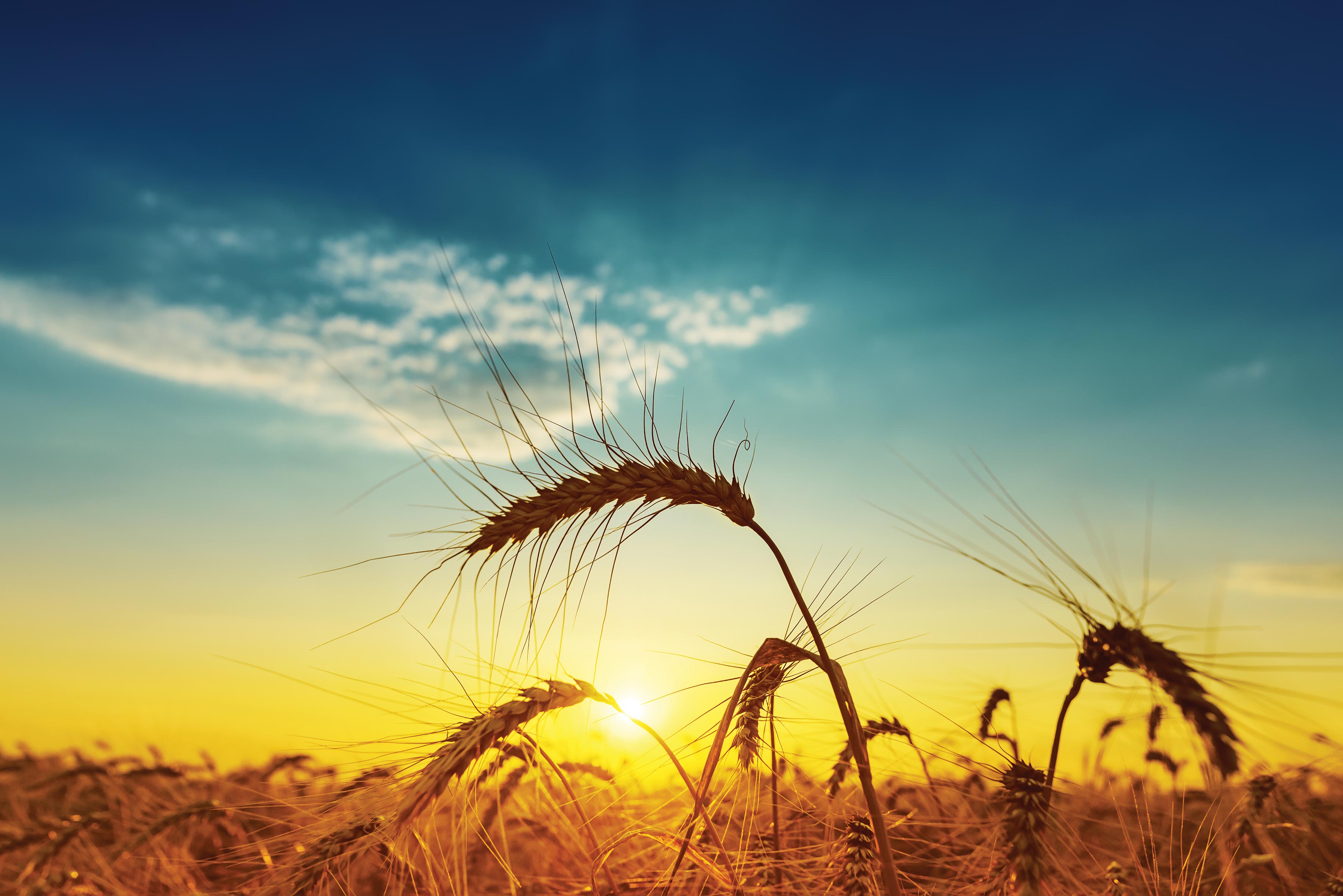 agriculture-second-state-of-the-carbon-cycle-report