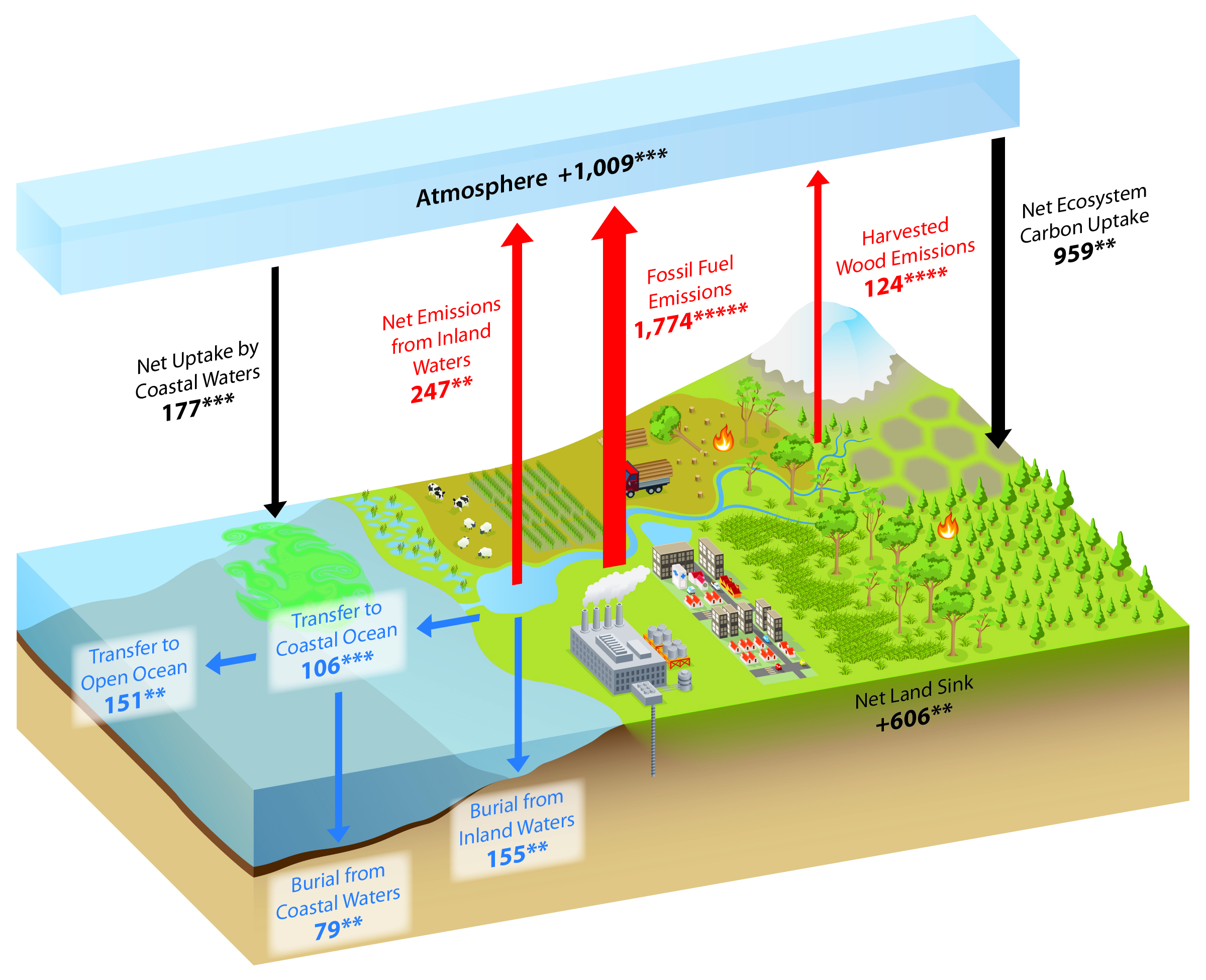 What Is the Carbon Cycle, and Why Is It Important? Second State of