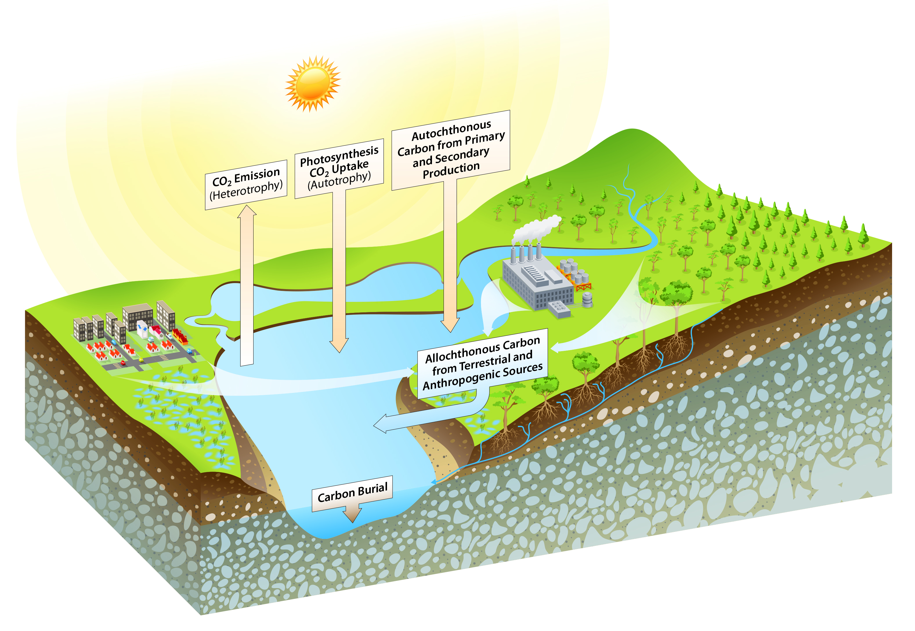 How Inland Waters 'Breathe' Carbon – And What it Means for Global