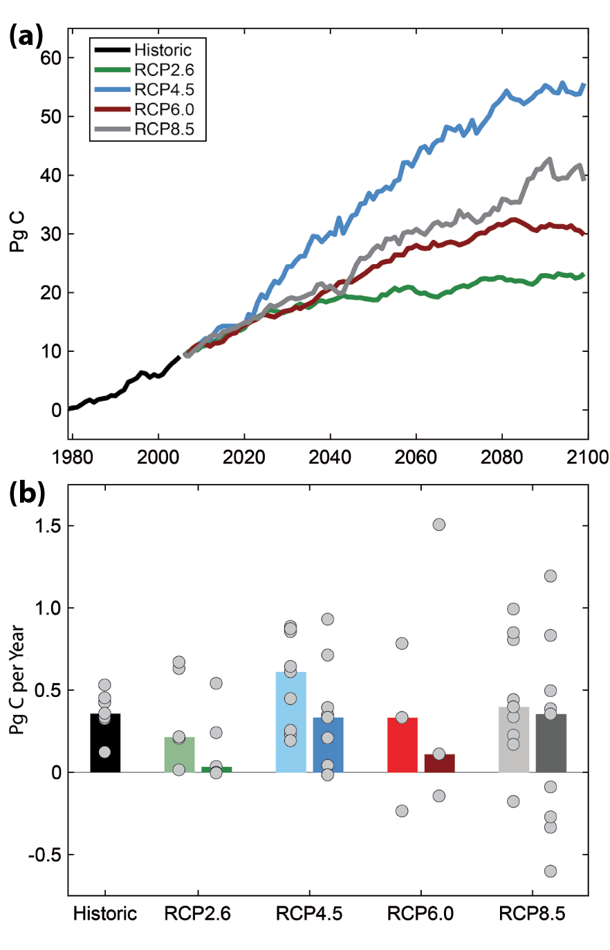 PDF) Chapter 19: Future of the North American carbon cycle. In