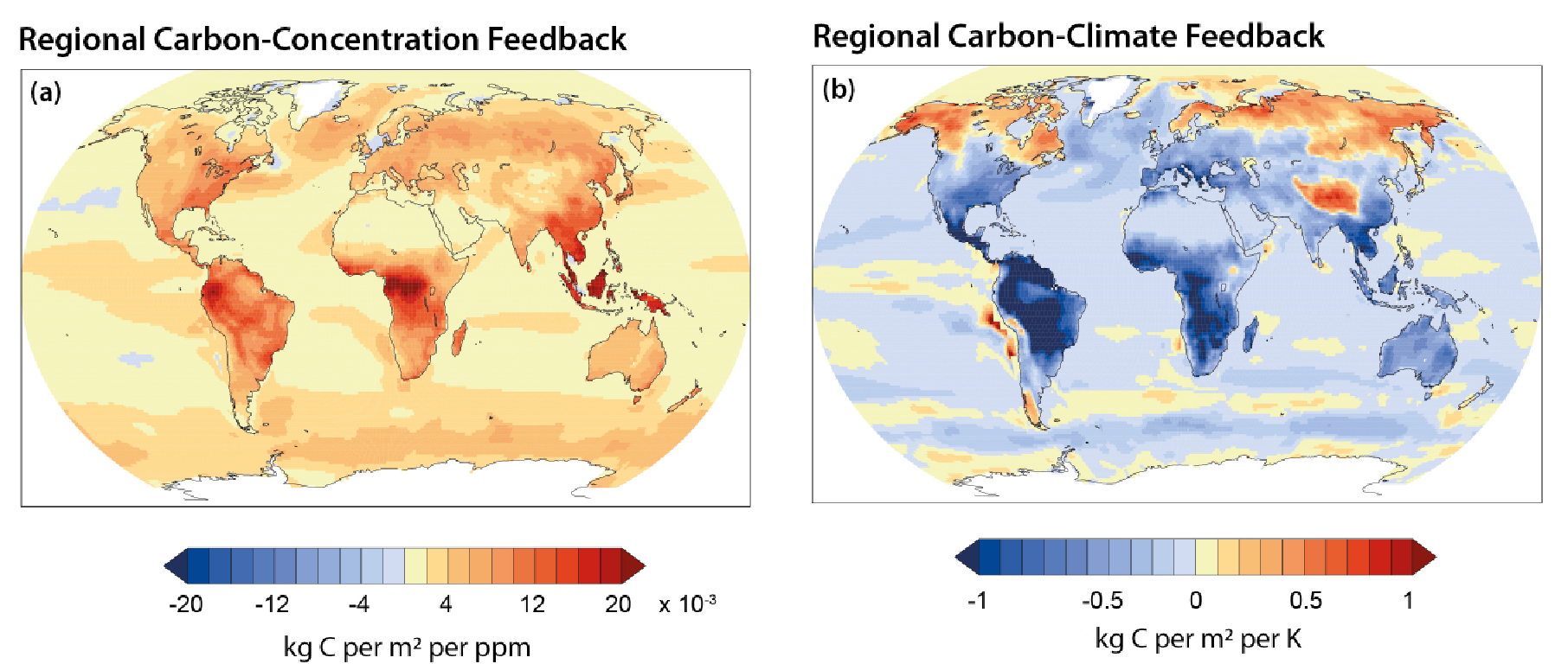 PDF) Chapter 19: Future of the North American carbon cycle. In